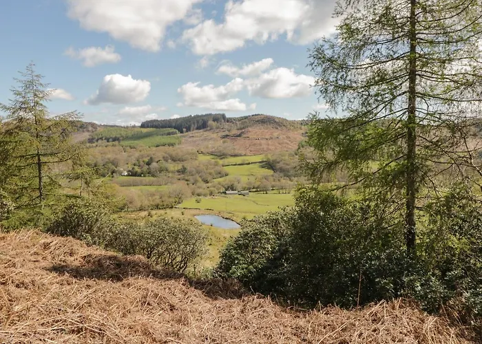 Acre * 阿尔弗斯顿